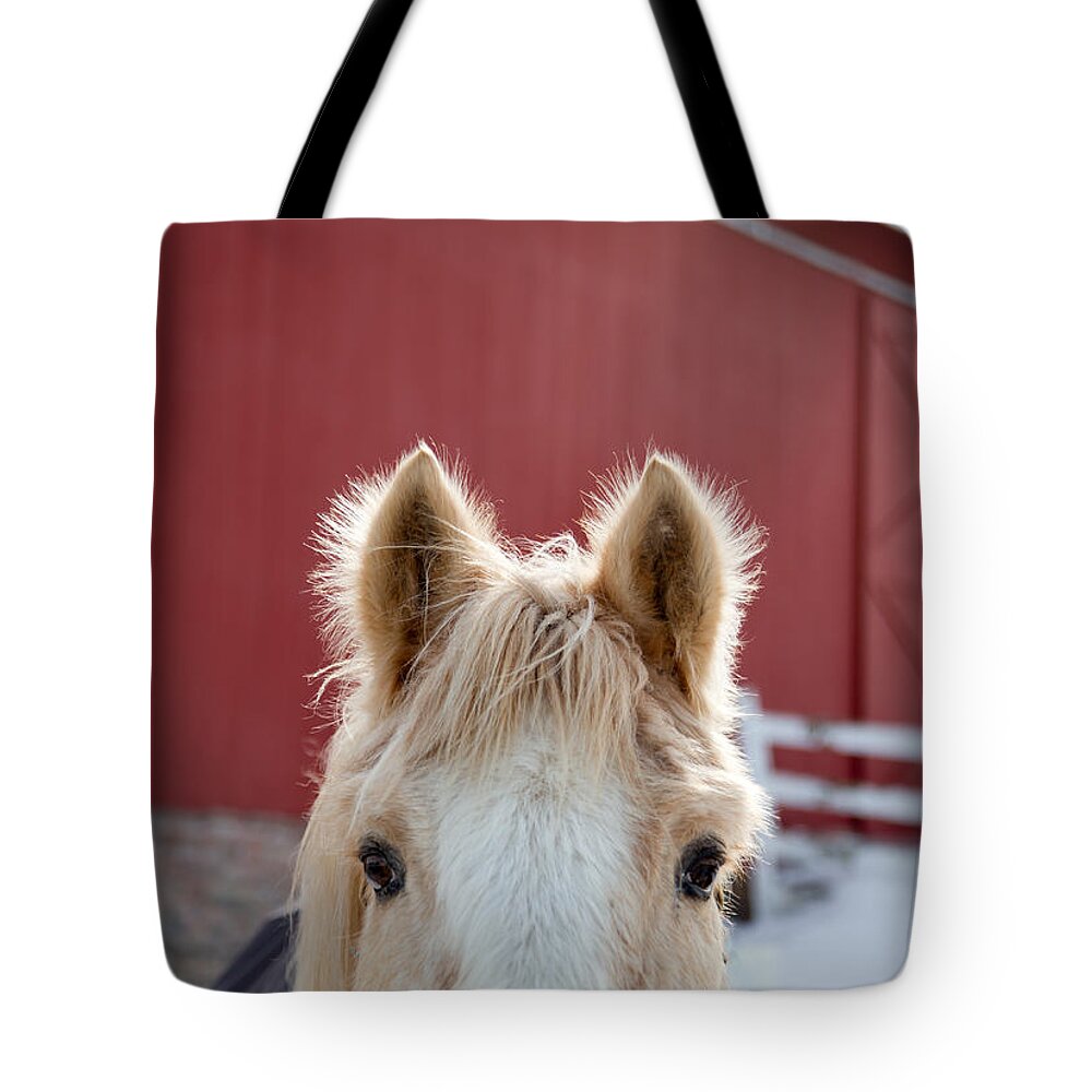 Horse Ears Tote Bag featuring the photograph Peek A Boo by Courtney Webster