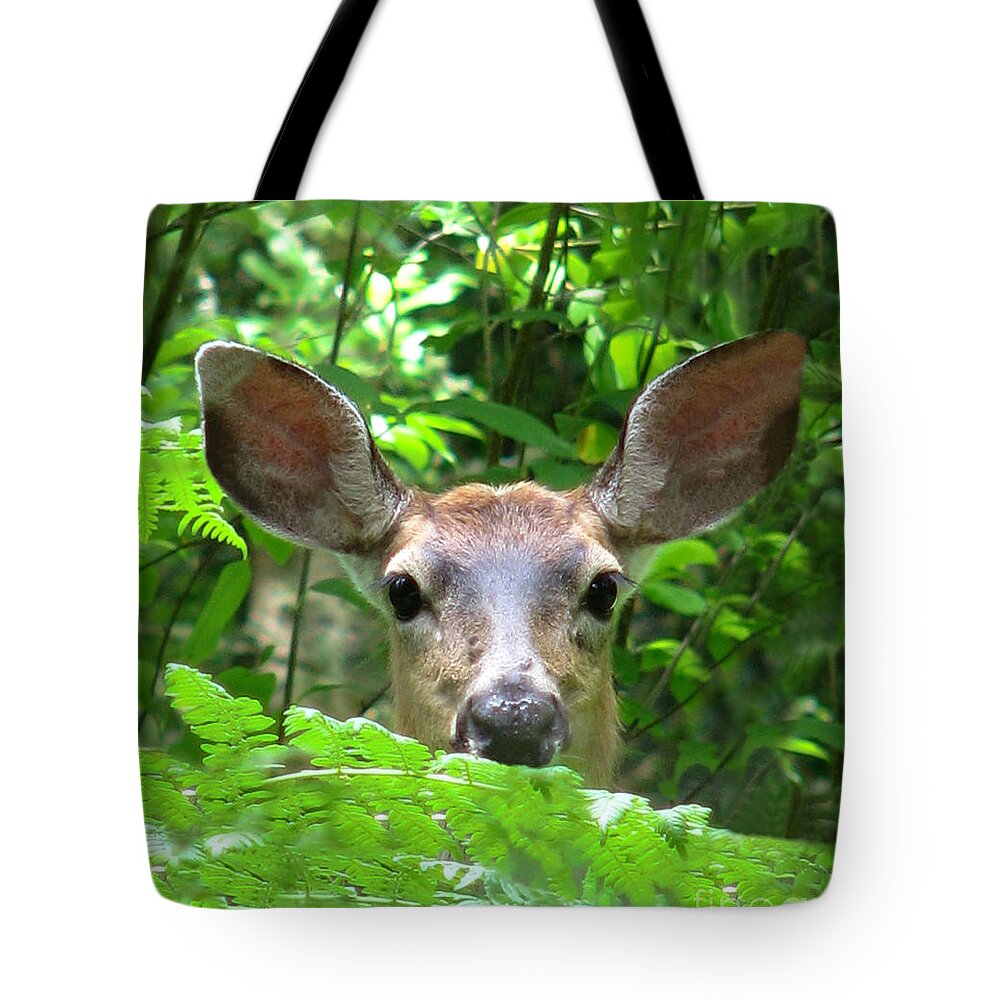 Wildlife Tote Bag featuring the photograph Peek-A-Boo by Rory Siegel