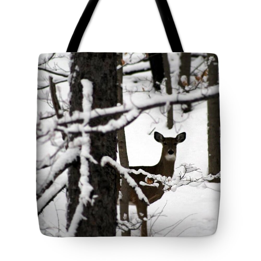 Deer Tote Bag featuring the photograph Peek a Boo by Wendy Gertz