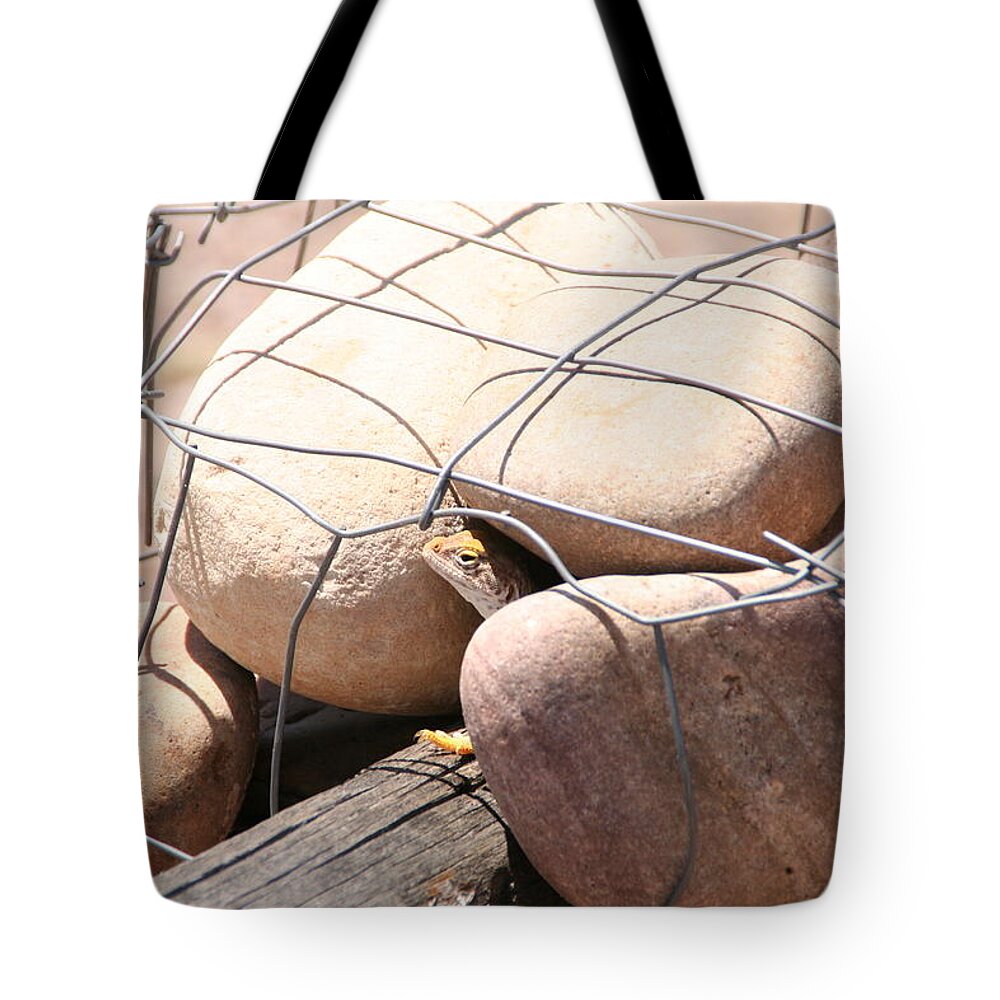 David S Reynolds Tote Bag featuring the photograph Peeking Out by David S Reynolds