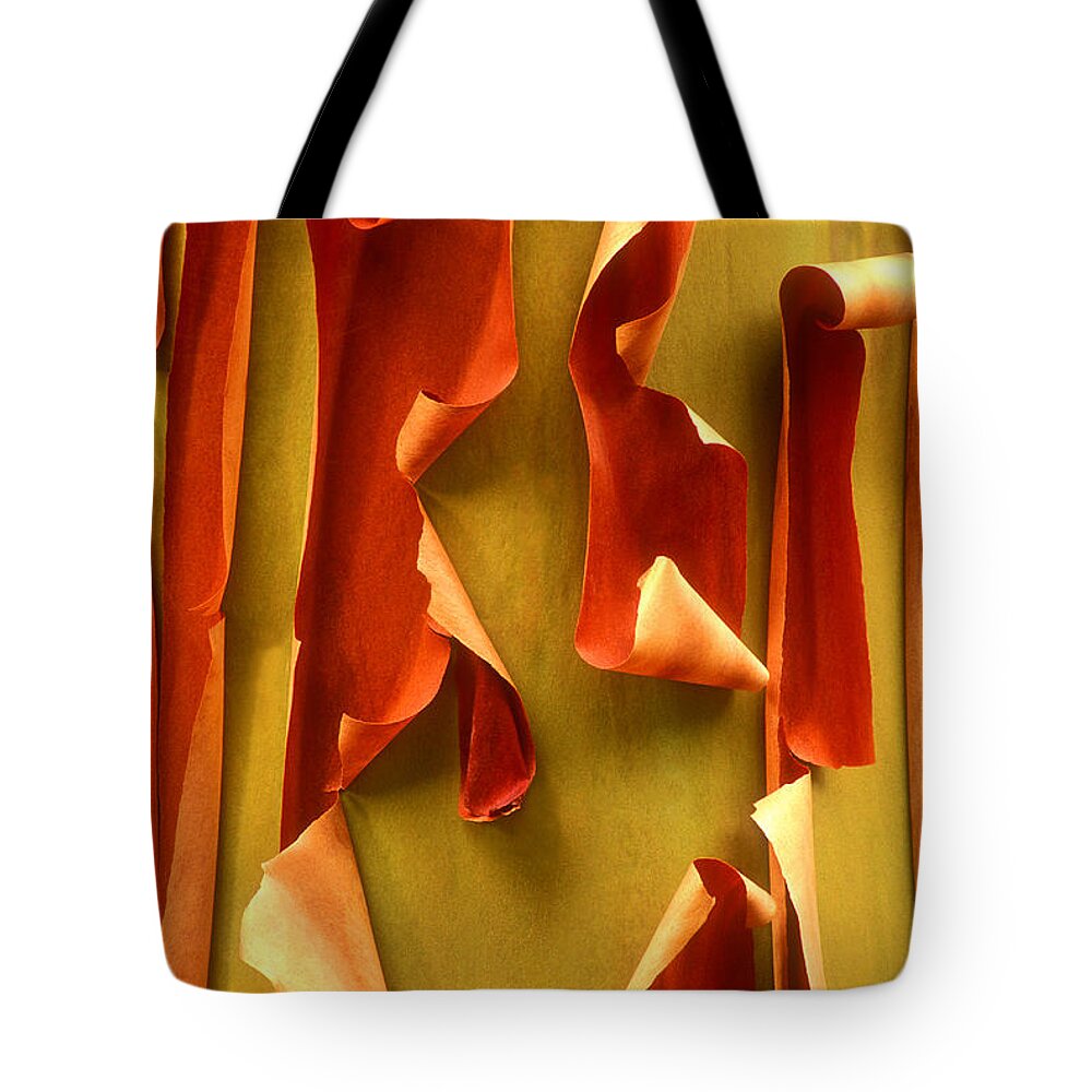 Pacific Madrone Tote Bag featuring the photograph Peeling Bark Pacific Madrone Tree Washington by Dave Welling