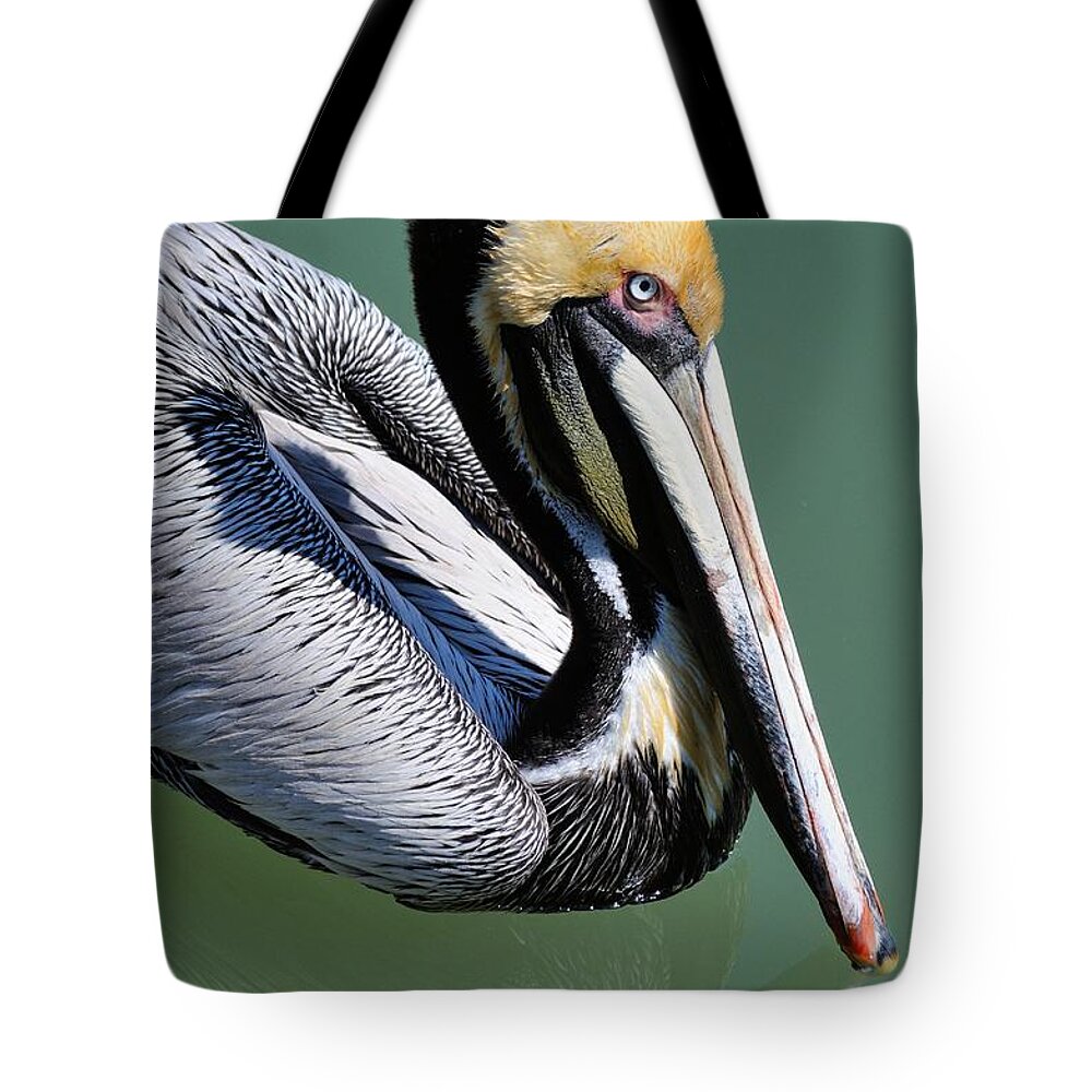 Pelican Tote Bag featuring the photograph Pelican by David Hart