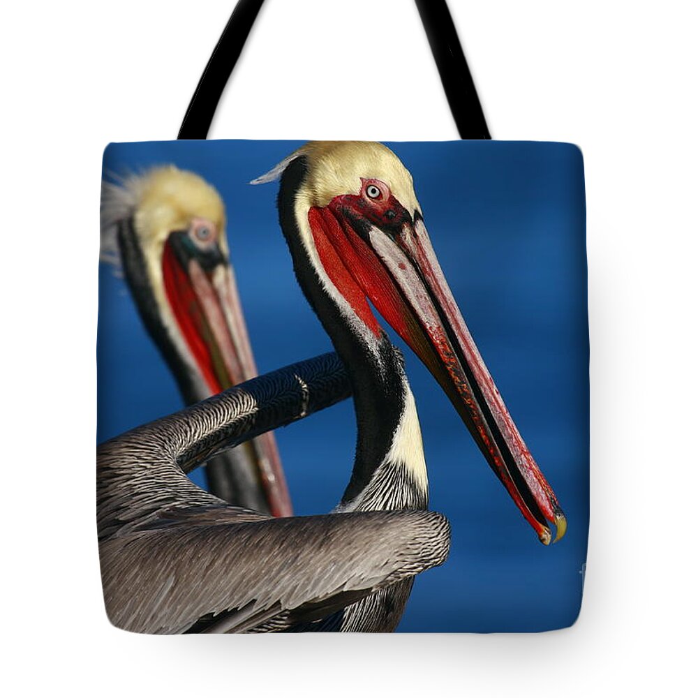 Landscapes Tote Bag featuring the photograph La Jolla Pelicans In Waves by John F Tsumas