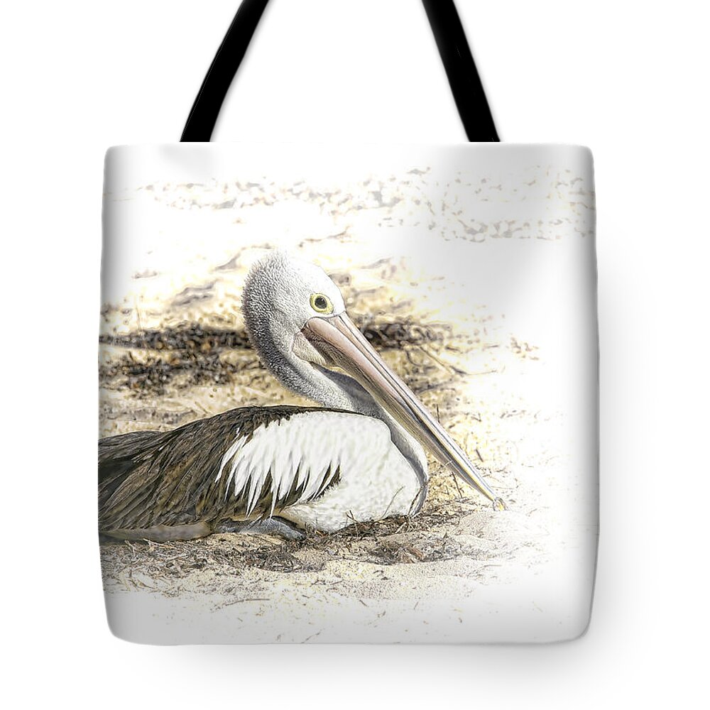 Animals Tote Bag featuring the photograph Pelican by Holly Kempe