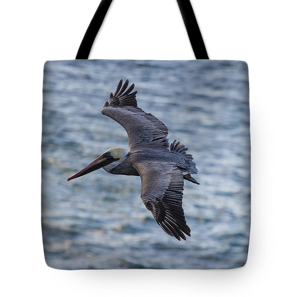 California Tote Bag featuring the photograph Pelican in flight by Sonny Marcyan