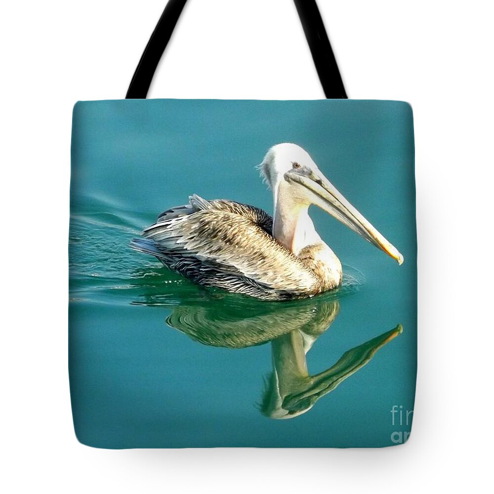 Pelican Tote Bag featuring the photograph Pelican in San Francisco Bay by Clare Bevan