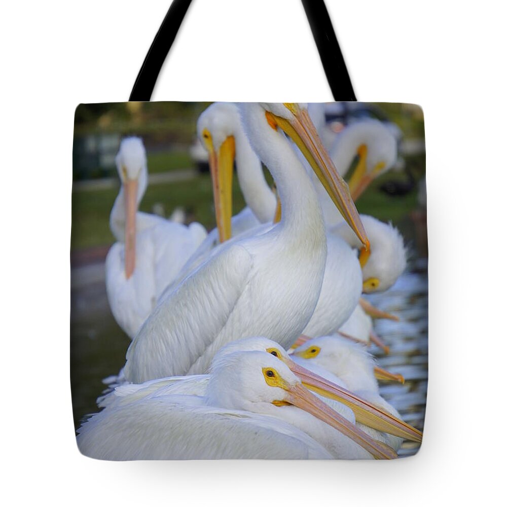 White Pelicans Tote Bag featuring the photograph Pelican Pile by Laurie Perry