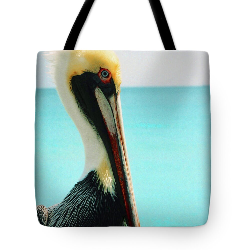  Tote Bag featuring the photograph Pelican Profile and Water by Heather Kirk