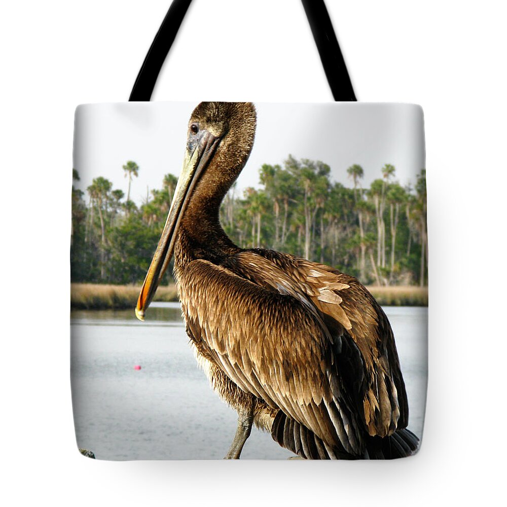 Pelican Tote Bag featuring the photograph Pelican by Randi Kuhne