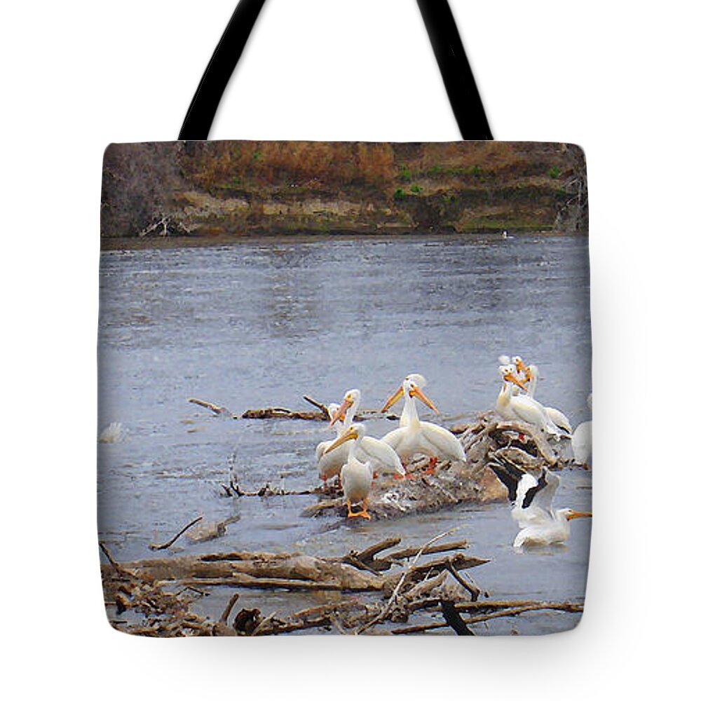 Pelican Tote Bag featuring the photograph Pelican Rest Stop by Steve Karol