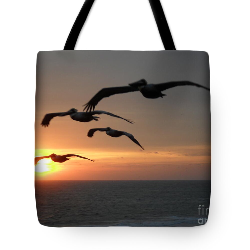Pelican Tote Bag featuring the photograph Pelican Sun up by Laurie Lundquist