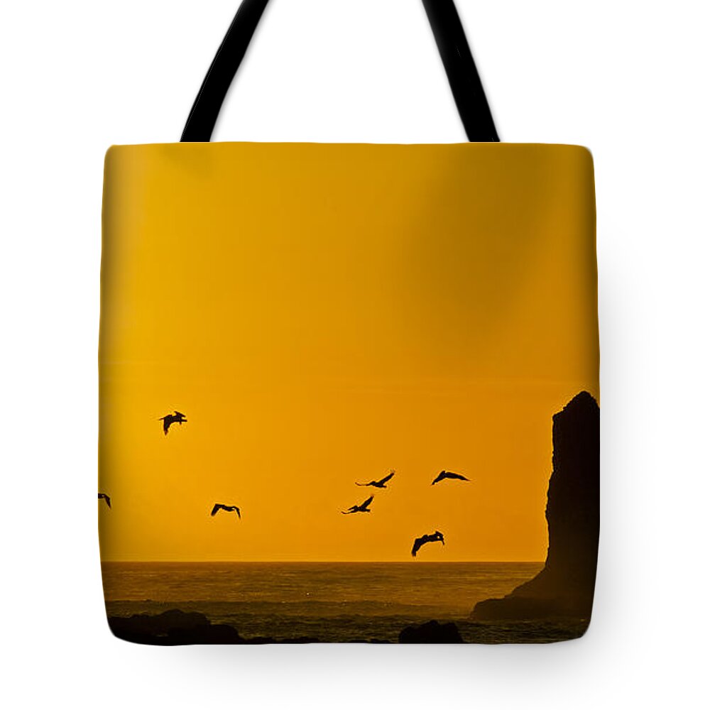 La Push Tote Bag featuring the photograph Pelicans on the Wing II by Greg Reed