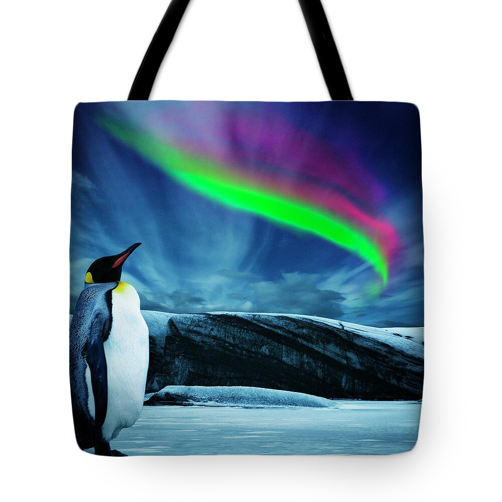 Scenics Tote Bag featuring the photograph Penguin Under Southern Lights by Powerofforever
