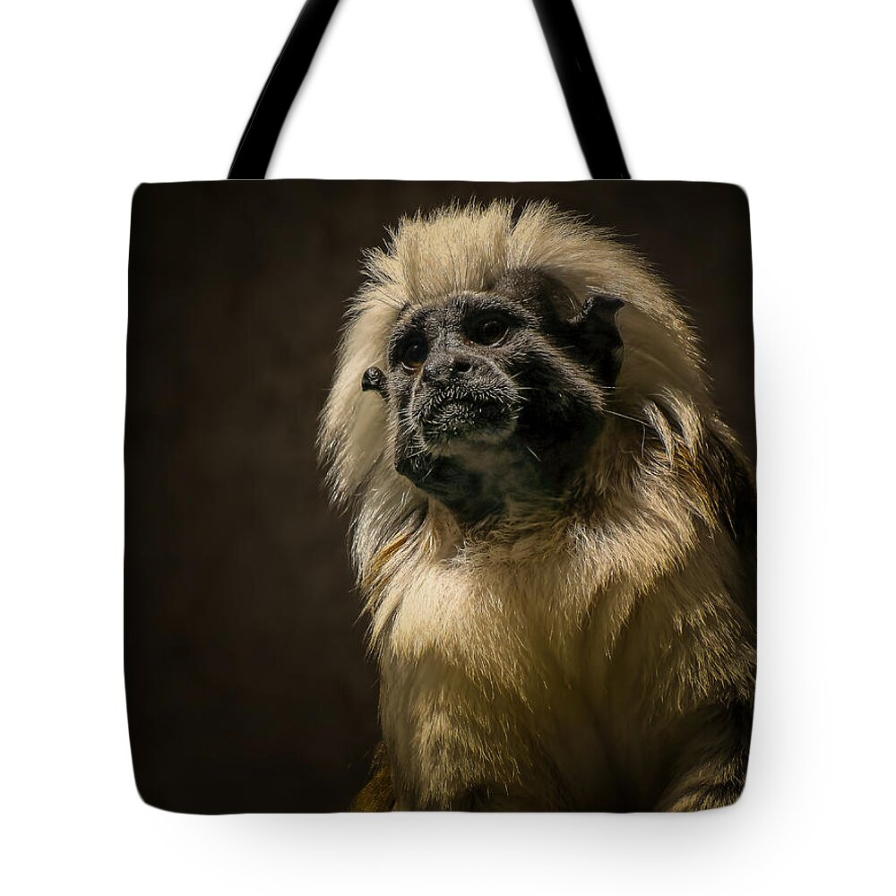 Animal Tote Bag featuring the photograph Pensive by Sarah Sever