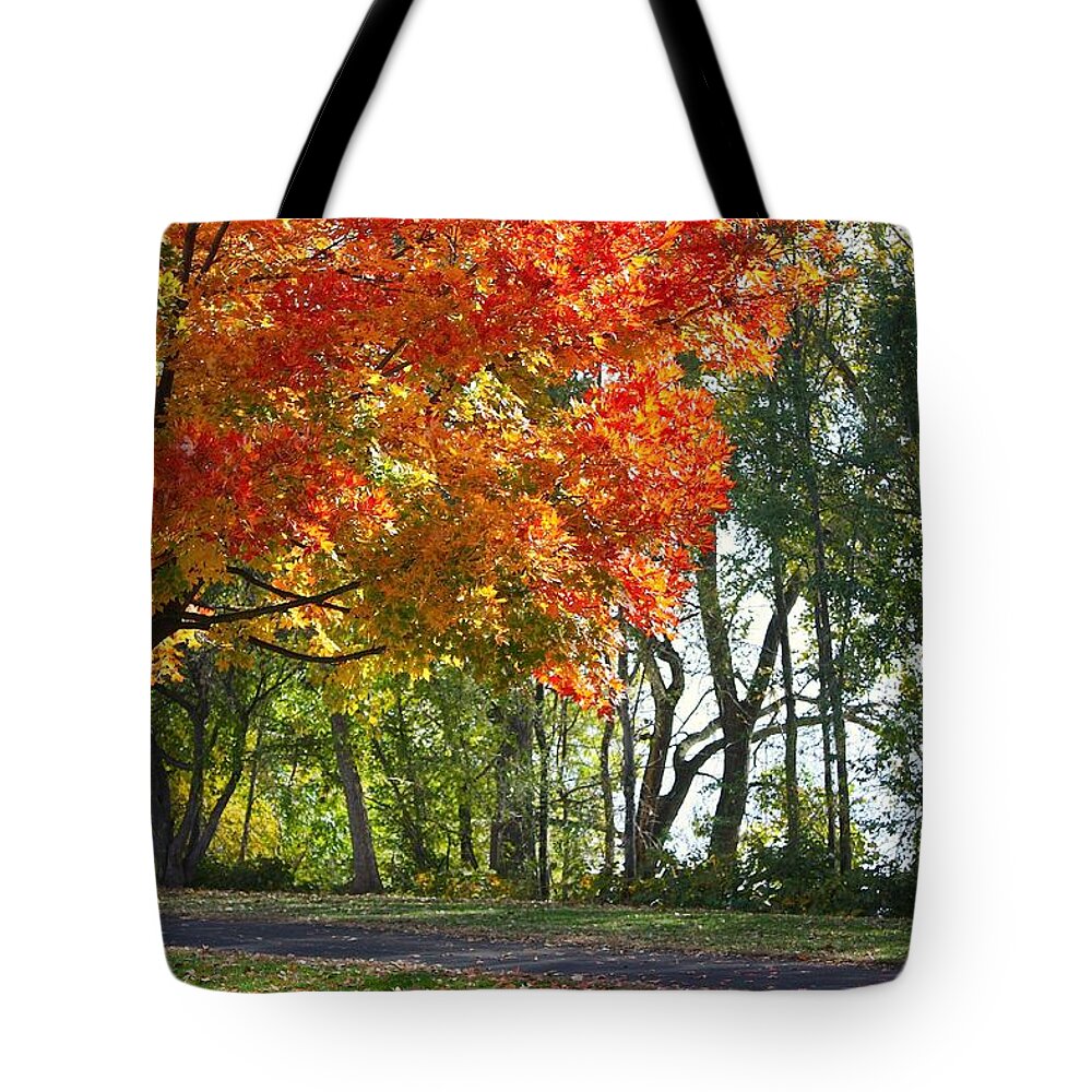 Peoria Tote Bag featuring the photograph Peoria Riverfront Park in Autumn Two by Veronica Batterson