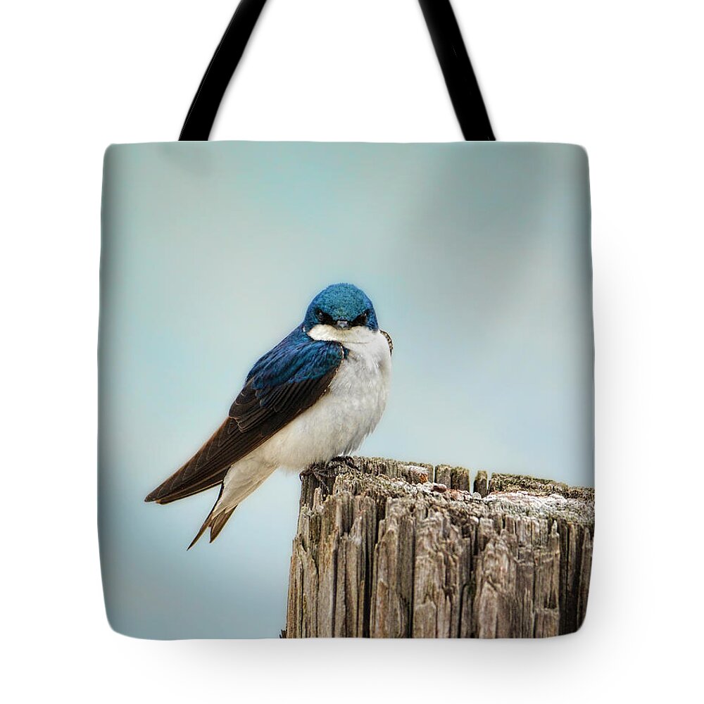 Bird Tote Bag featuring the photograph Perched and Waiting by Jai Johnson