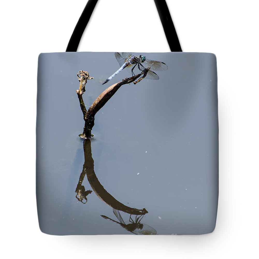 Insect Tote Bag featuring the photograph Perfect Reflection by Donna Brown