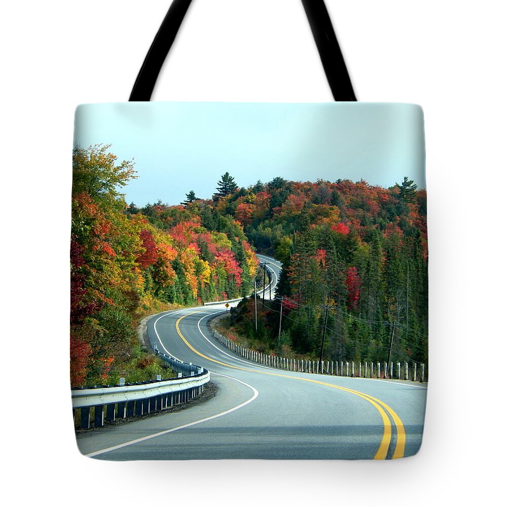 Fall Tote Bag featuring the photograph Perfect Ride by Betty-Anne McDonald