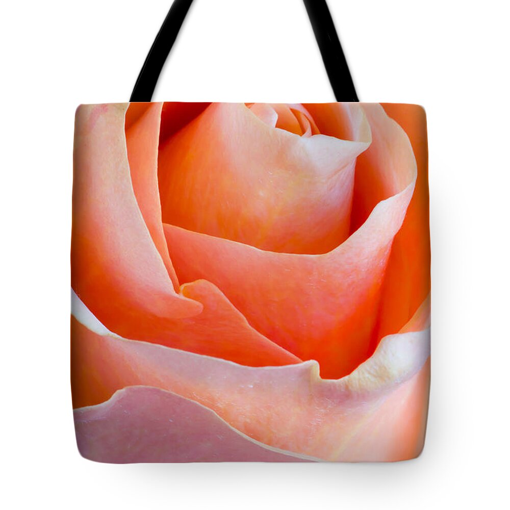Macro Tote Bag featuring the photograph Perfection In A Peach Rose by Heidi Smith