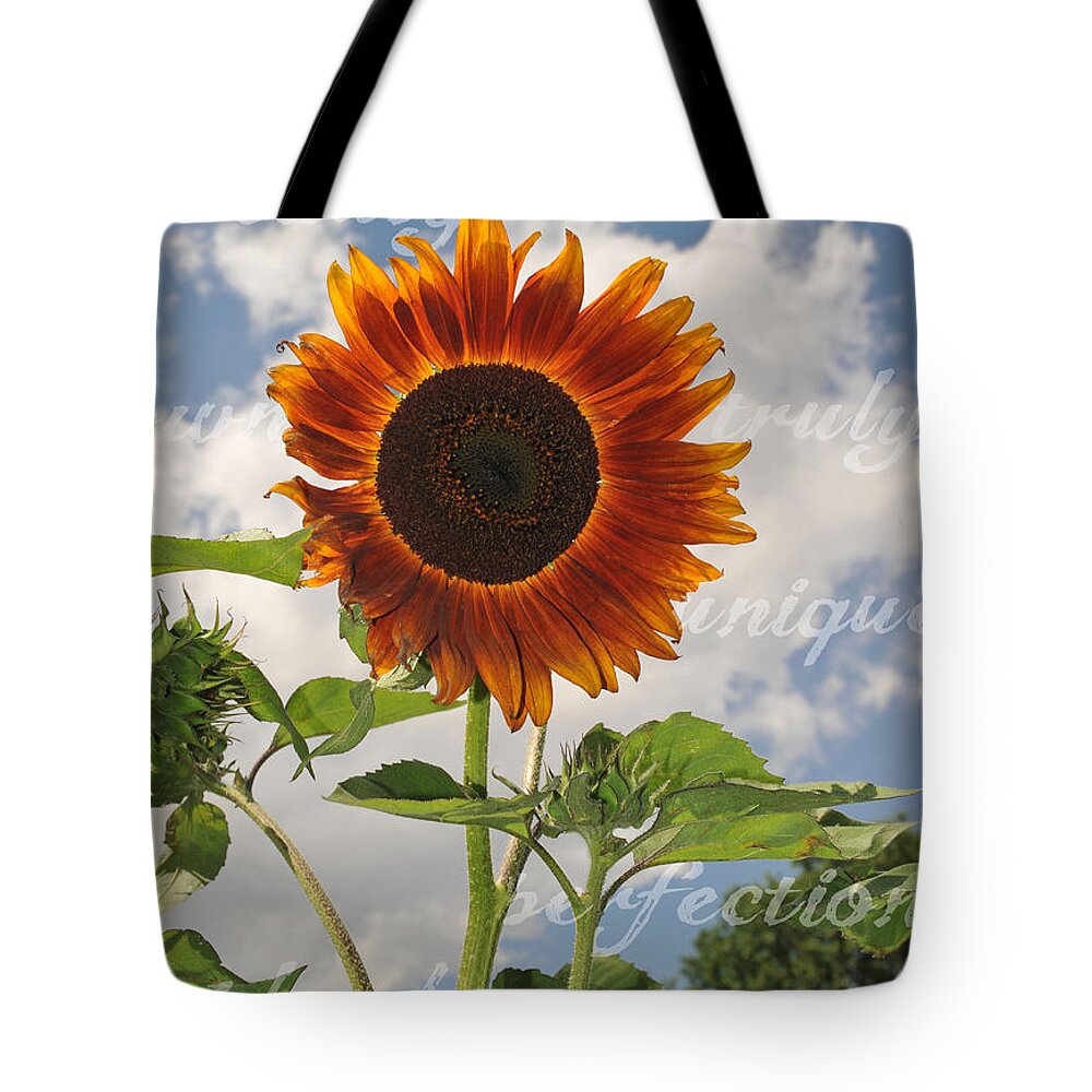 Perfection Tote Bag featuring the photograph Perfection in the Eye of the Beholder by Amanda Smith