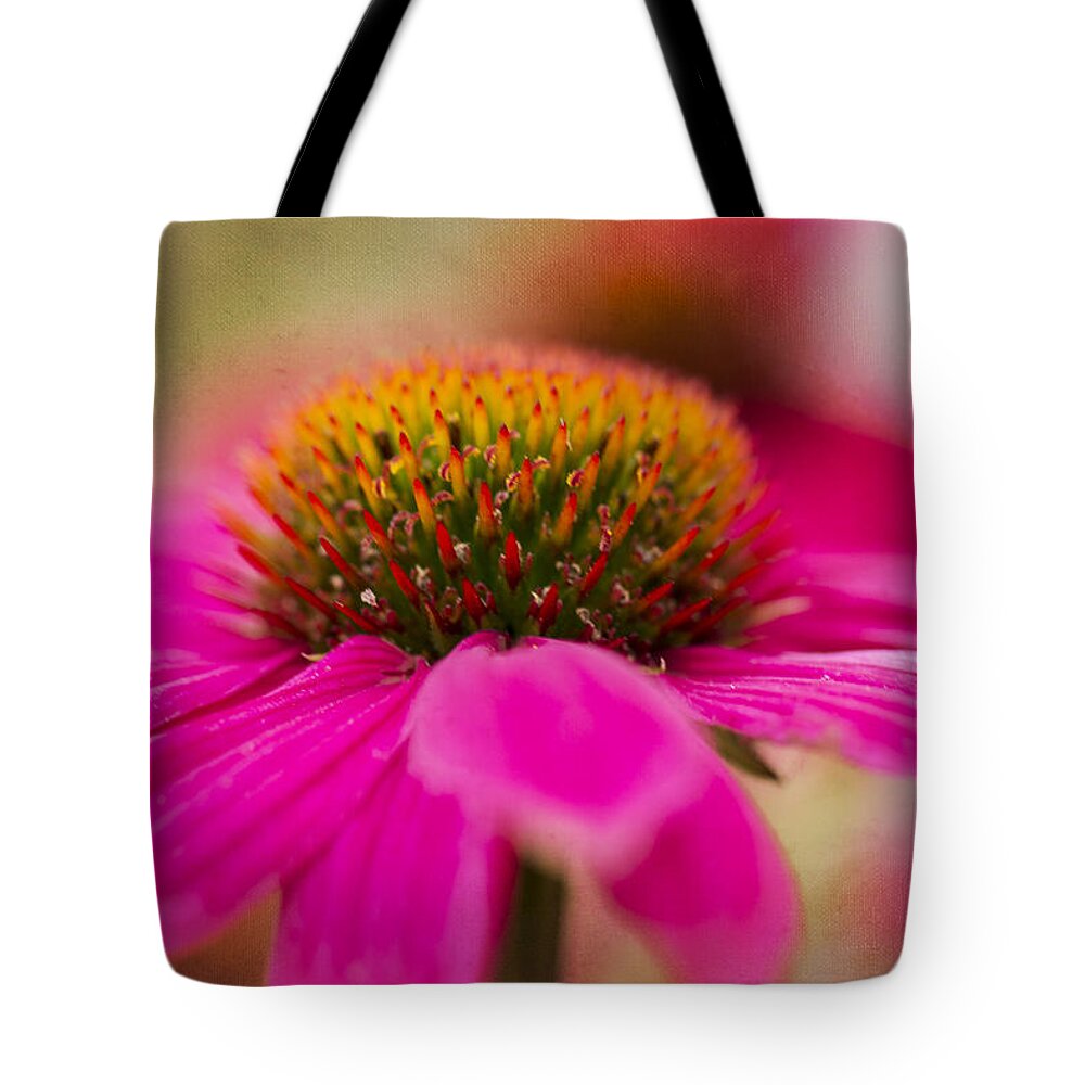 Clare Bambers Tote Bag featuring the photograph Perfectly Pink. by Clare Bambers