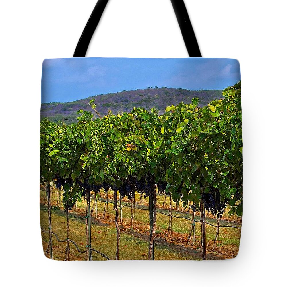 Wine Vineyard Print Tote Bag featuring the photograph Perissos Hill Country Vineyard by Kristina Deane