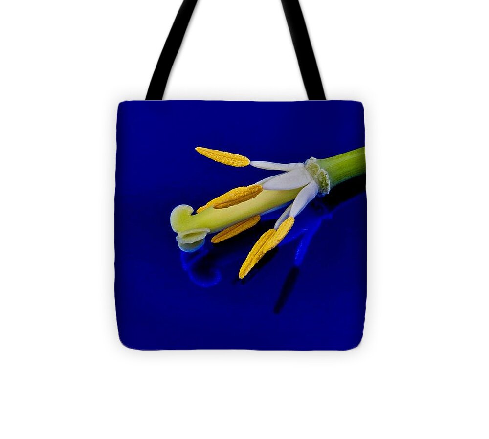 Flower Tote Bag featuring the photograph Petal-less Flower on Bright Blue by Phyllis Meinke