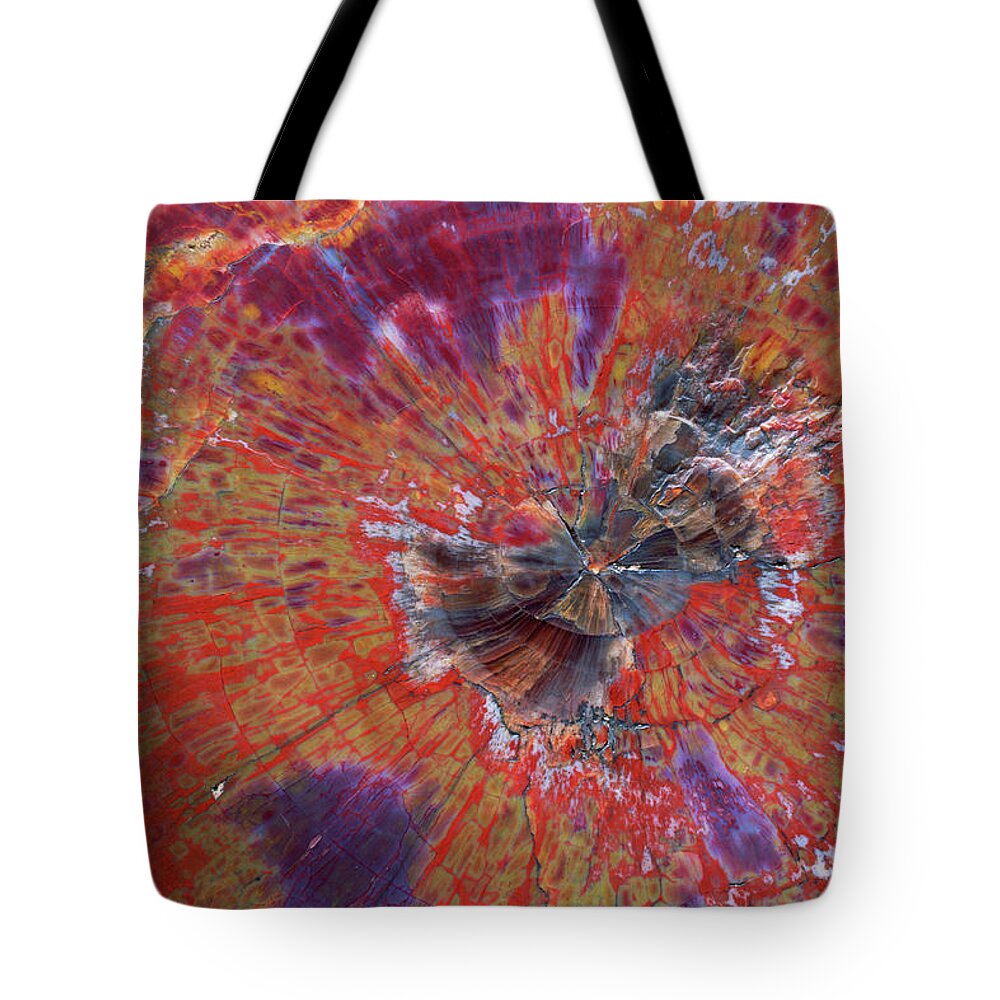 00343406 Tote Bag featuring the photograph Petrified Wood Detail by 
