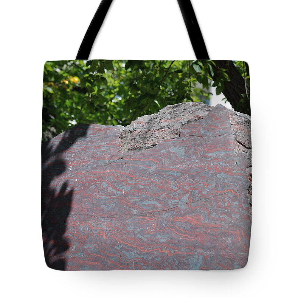 Petrified Wood Tote Bag featuring the photograph Petrified Wood on Display by Kenny Glover
