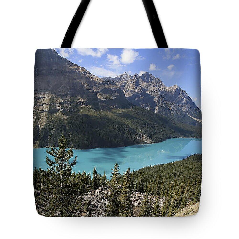 Peyto Lake Tote Bag featuring the photograph Peyto Lake Banff National Park by Teresa Zieba
