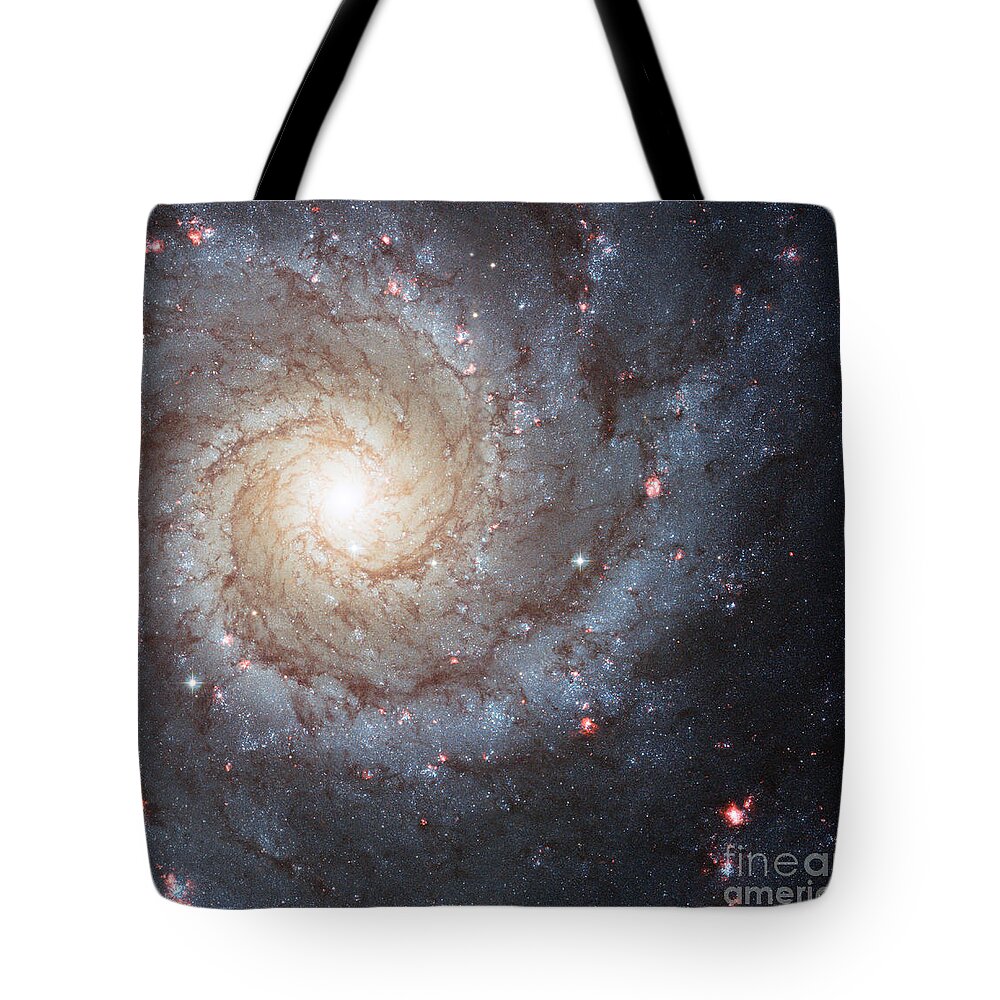 M74 Tote Bag featuring the photograph Phantom Galaxy M74 by Science Source