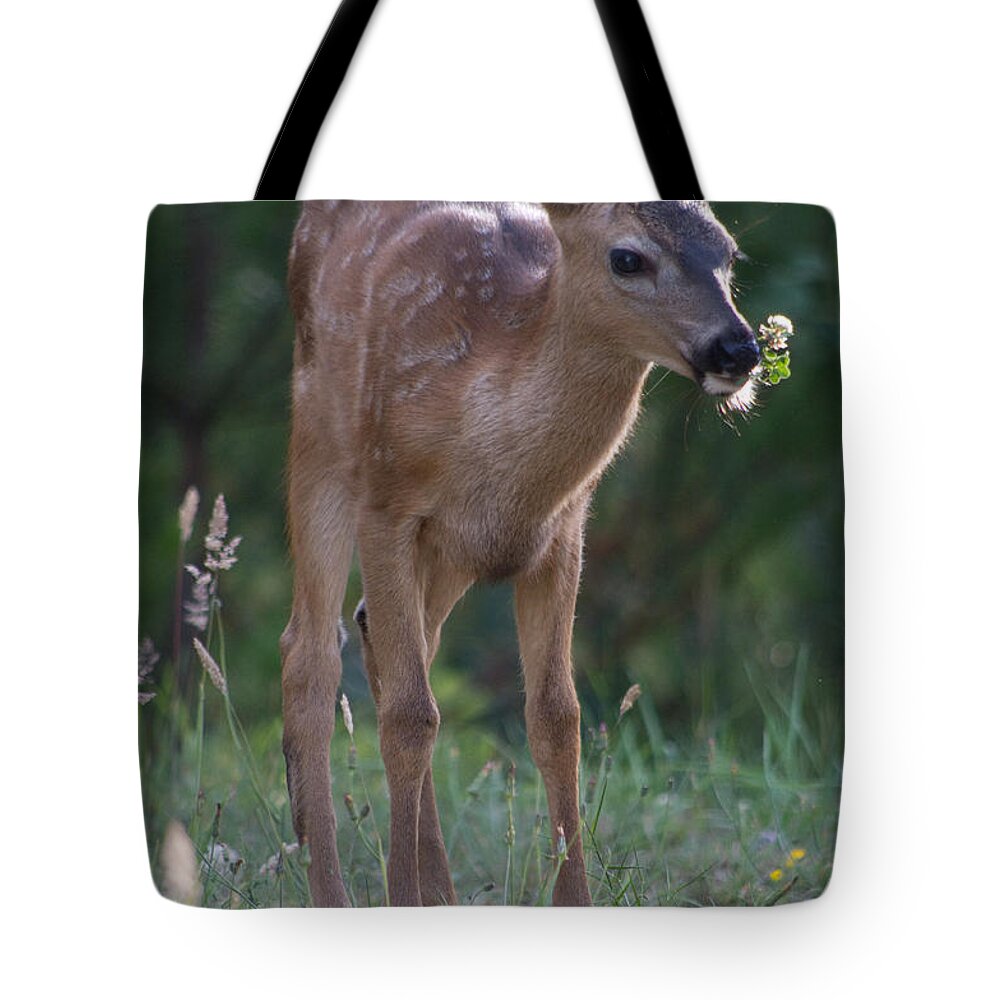 Deer Tote Bag featuring the photograph Picking Flowers by Adria Trail