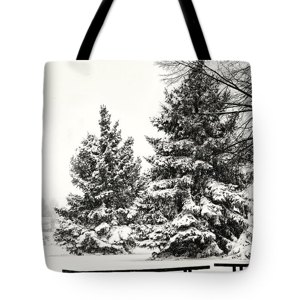 Picnic Anyone Tote Bag featuring the photograph Picnic Anyone? by Jon Burch Photography