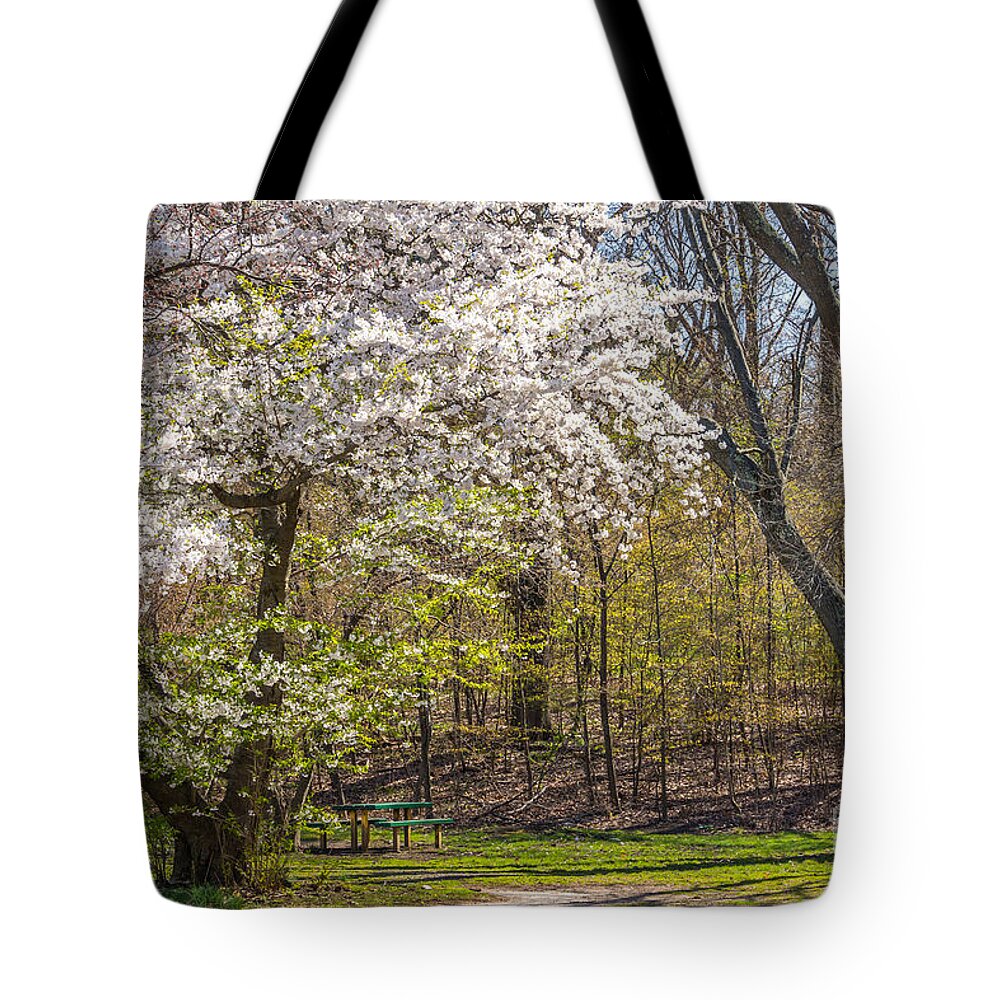 April Tote Bag featuring the photograph Picnic in the Park by Susan Cole Kelly