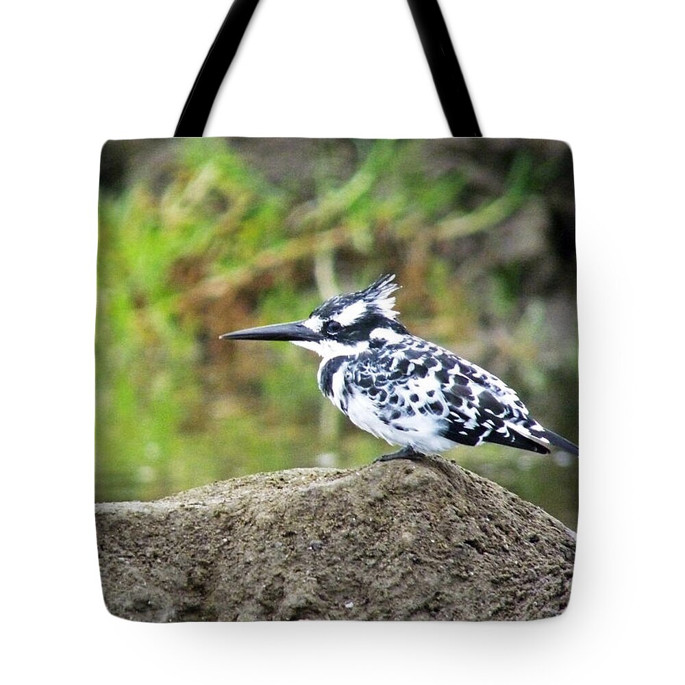 Pied Kingfisher Tote Bag featuring the photograph Pied Kingfisher by Tony Murtagh