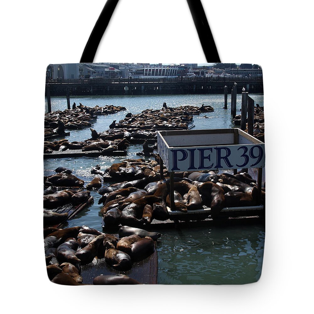 Seals Tote Bag featuring the photograph Pier 39 San Francisco Bay by Aidan Moran