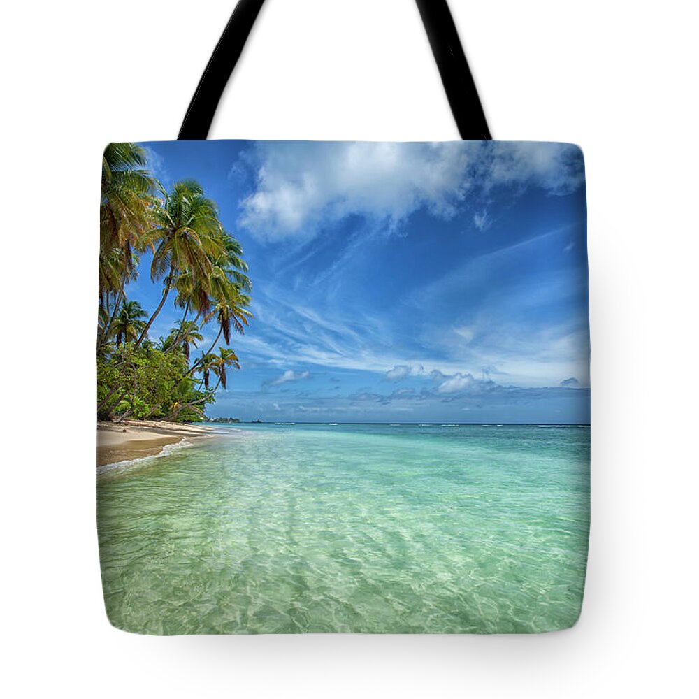 Tranquility Tote Bag featuring the photograph Pigeon Point Beach by Timothy Corbin