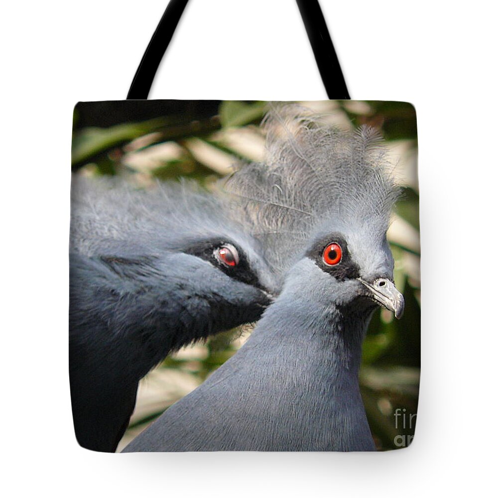 Jane Ford Tote Bag featuring the photograph Pigeons by Jane Ford