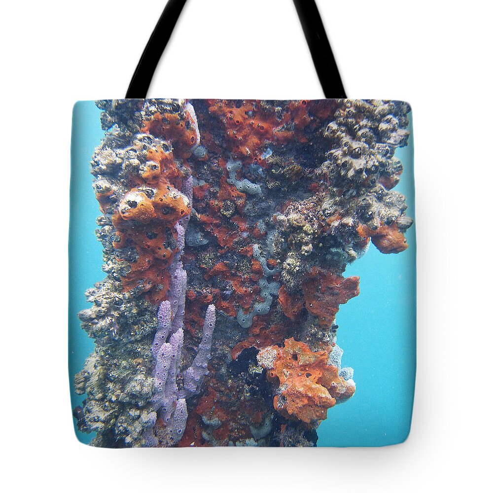 Bocas Del Toro Tote Bag featuring the photograph Pillar of Life by Lynne Browne