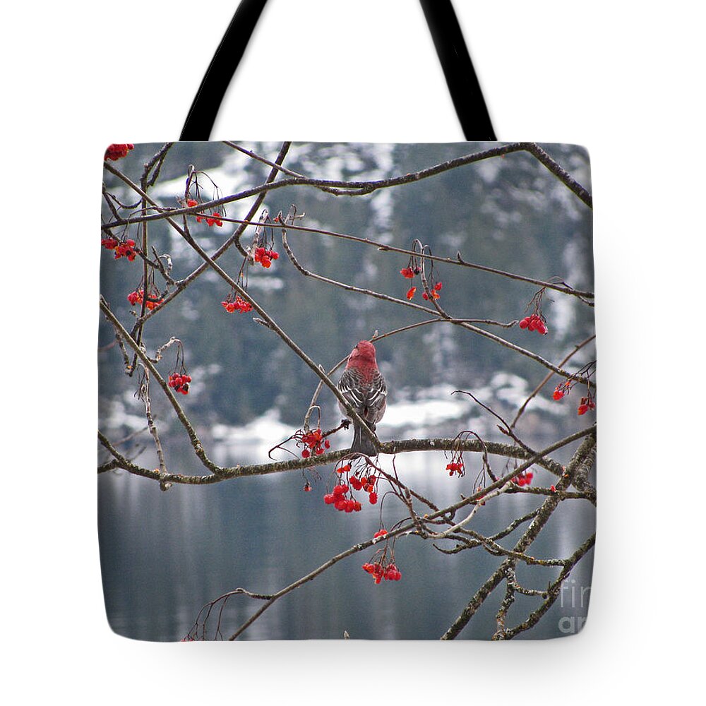 Pine Tote Bag featuring the photograph Pine Grosbeak and Mountain Ash by Leone Lund