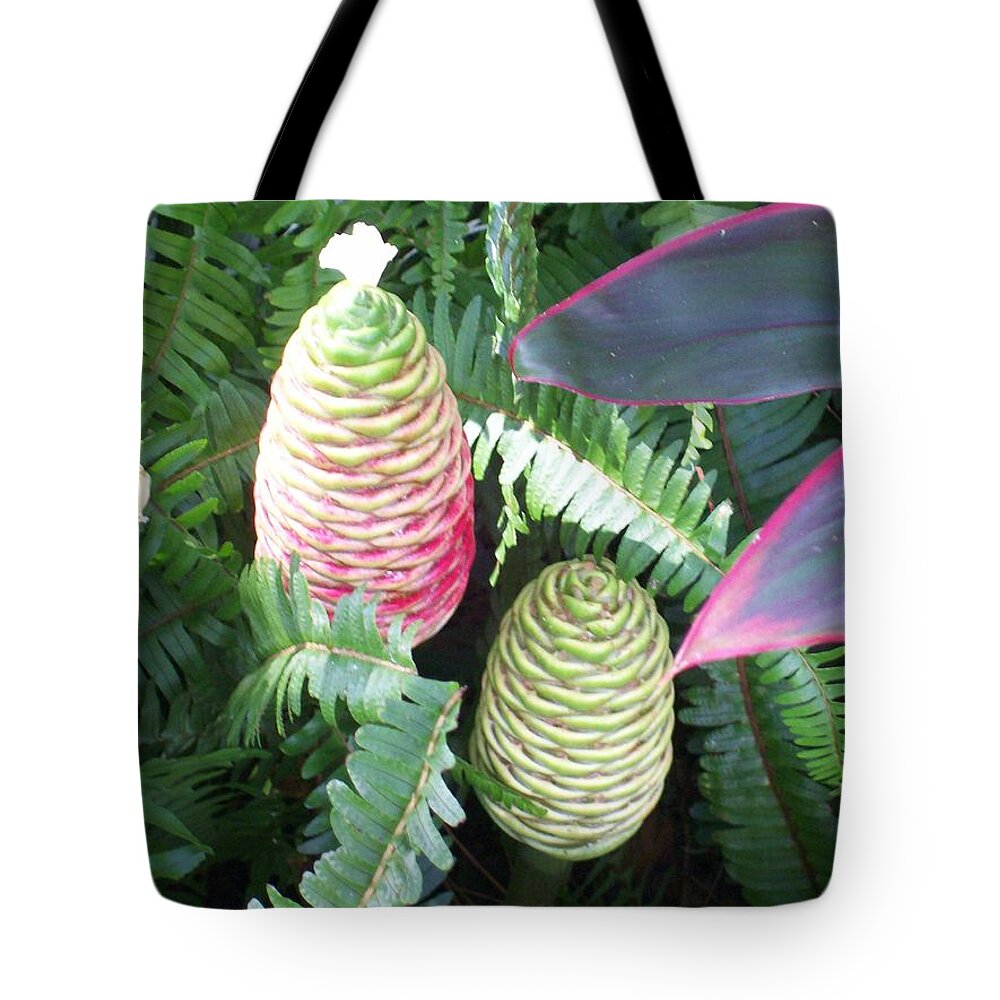 Pineapple Ginger In The Beginning Stages Of It's Bloom. See How It Is Starting To Turn Red. Tote Bag featuring the photograph Pineapple Ginger by Belinda Lee