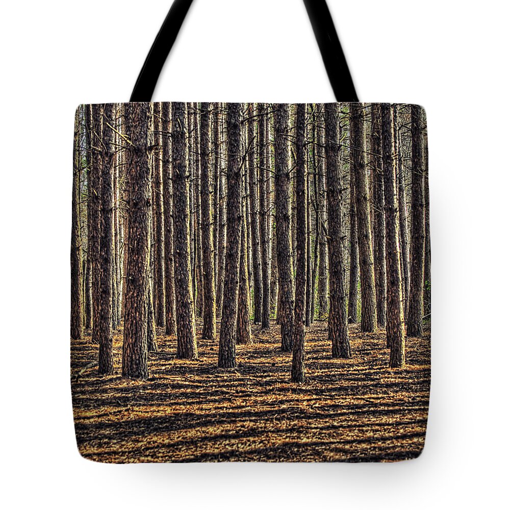 Landscape Tote Bag featuring the photograph Pines and Shadows by Claudio Bacinello