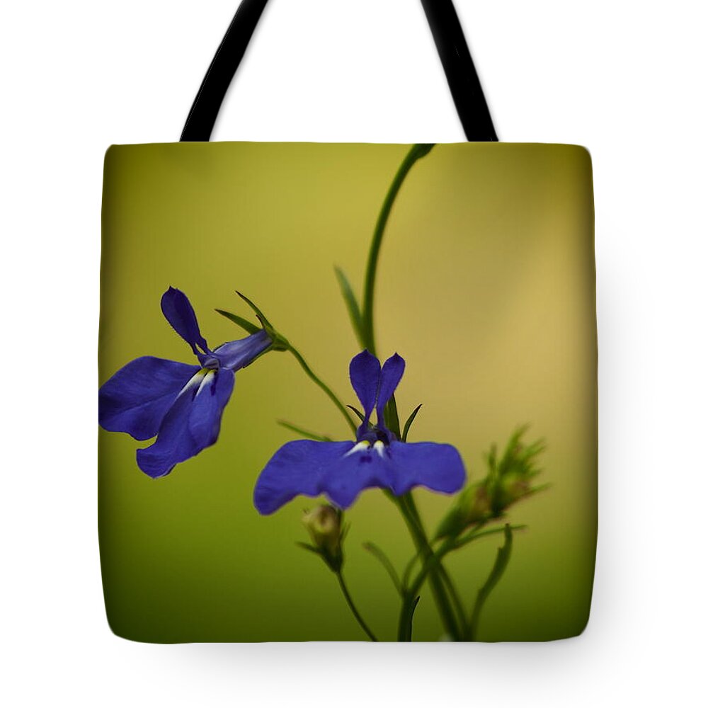 Flowers Tote Bag featuring the photograph Pinhole View Of Lobelia by Dorothy Lee