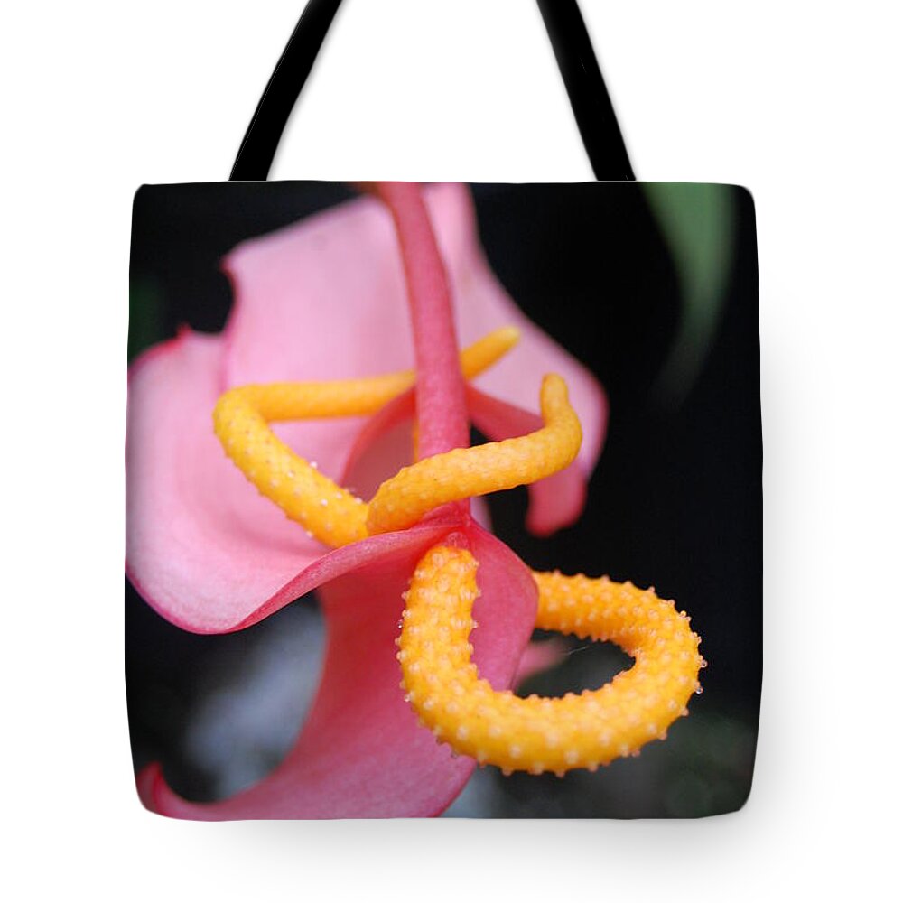 Kula Botanical Gardens Tote Bag featuring the photograph Pink and Yellow Orchids 1 by Amy Fose