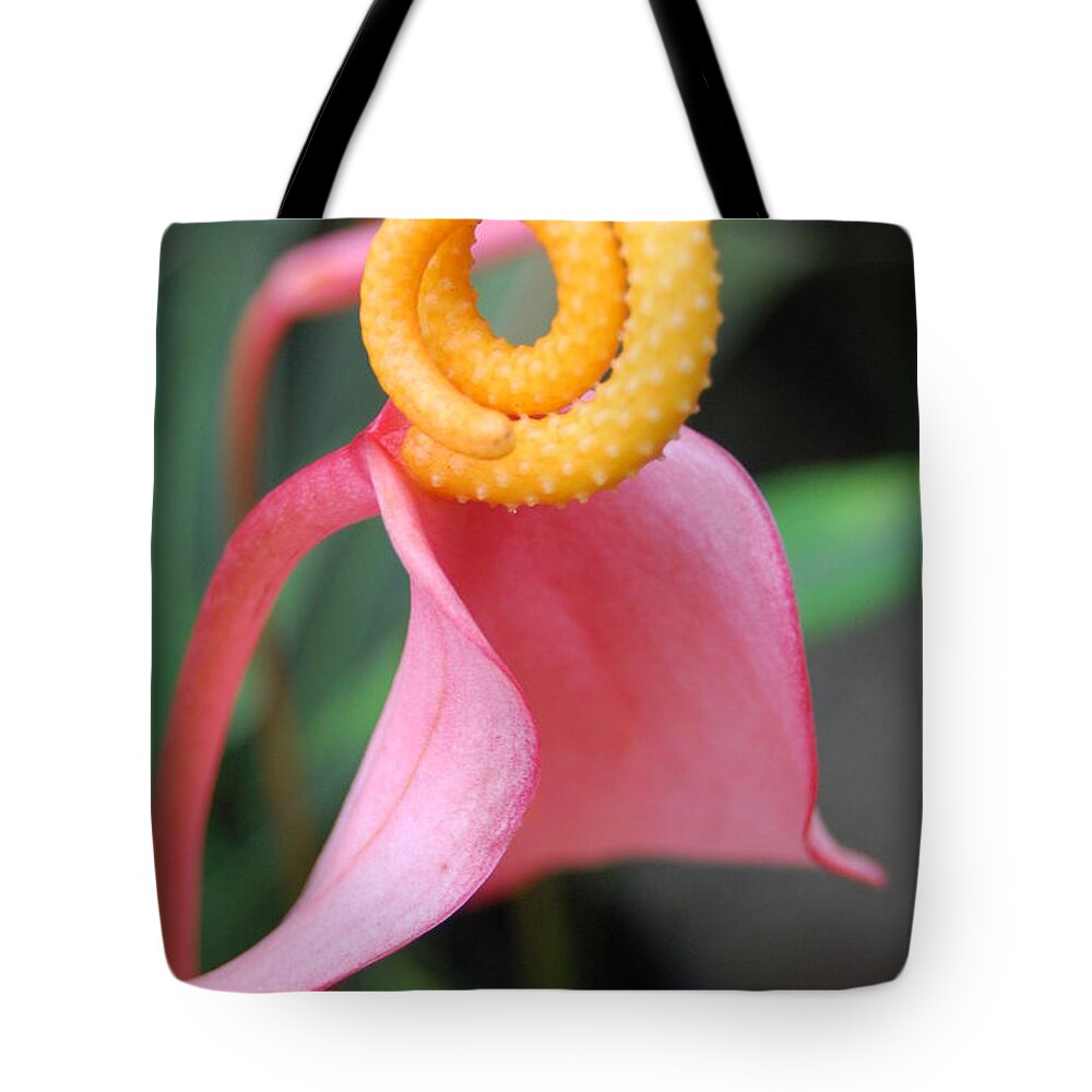 Kula Botanical Gardens Tote Bag featuring the photograph Pink and Yellow Orchids 2 by Amy Fose