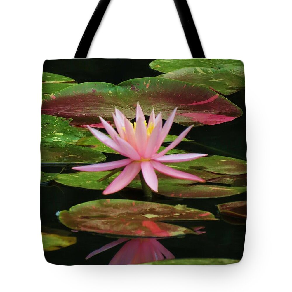 Waterlily Tote Bag featuring the photograph Pink Beauty by Vijay Sharon Govender