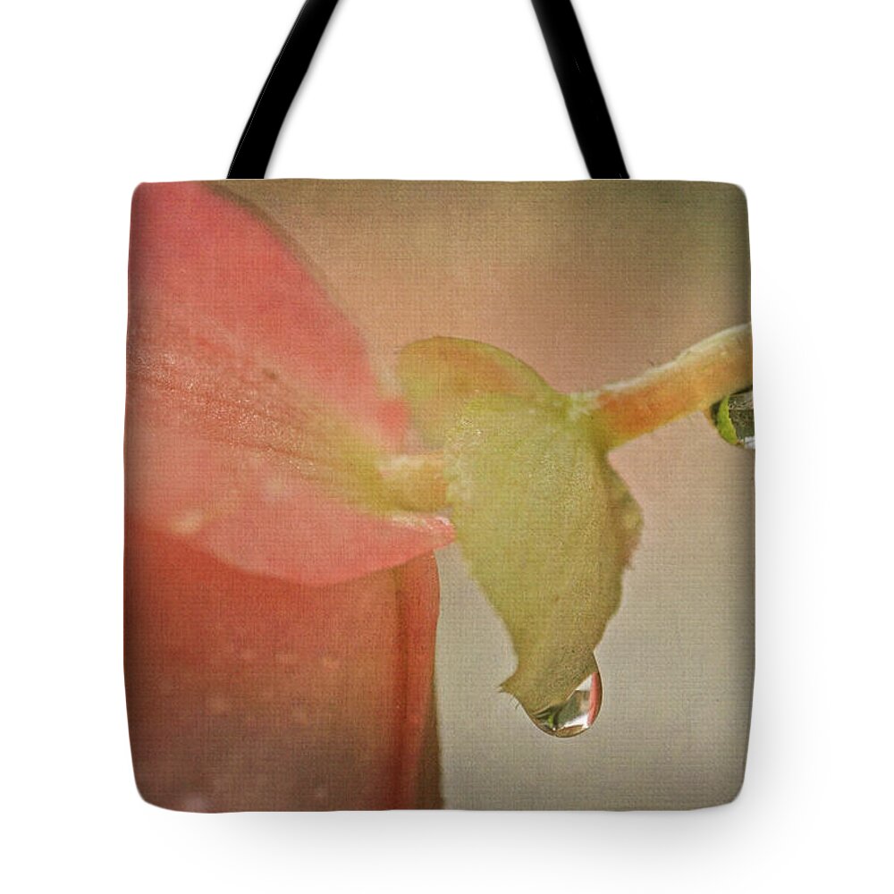 Begonias Tote Bag featuring the photograph Pink Begonia and Water Drops by Peggy Collins