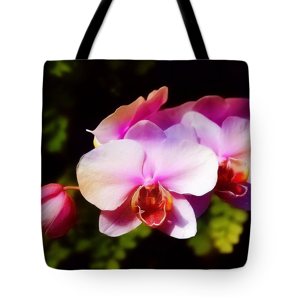 Pink Tote Bag featuring the photograph Pink Brilliance by Joyce Baldassarre