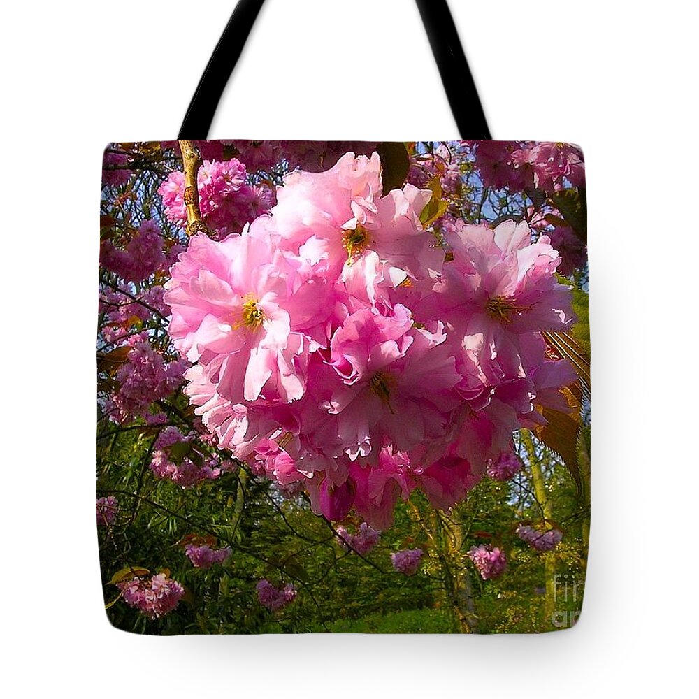 Pink Cherry Blossom Tote Bag featuring the photograph Pink Cherry Blossom Cluster by Joan-Violet Stretch