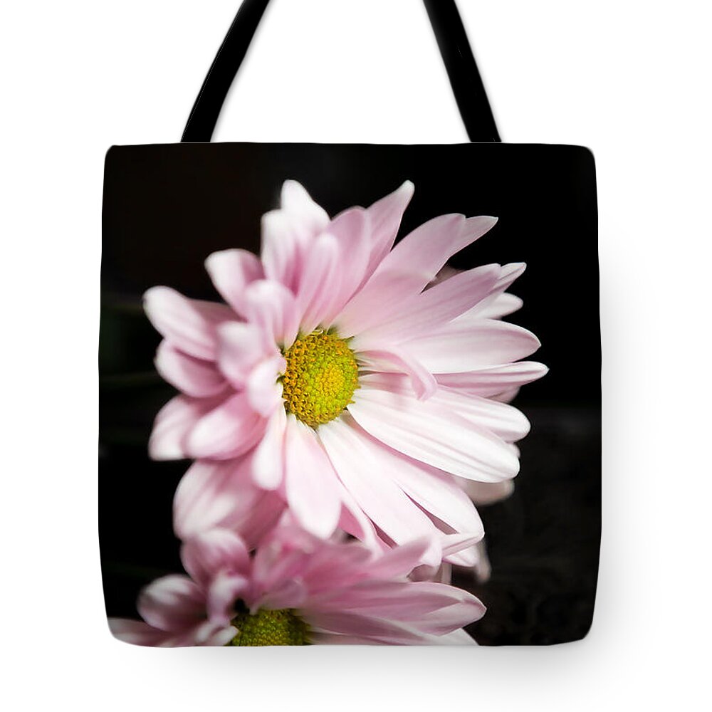 Chrysanthemum Tote Bag featuring the photograph Pink Chrysanthemum by Milena Ilieva